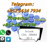 +852 66347934 Selank - High - Purity Peptide for Rapid Anti - anxiety Relief