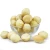 Import 100% High Grade Organic Raw Macadamia Nuts Premium Quality Bulk Macadamia Cheap Price from Kenya