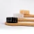 Import Adult and Child Biodegradable Bamboo Toothbrush from China