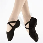 Dancing Shoes