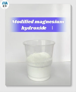 Modified magnesium hydroxide Ⅰ