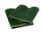 BANANA LEAVES / BANANA LEAF