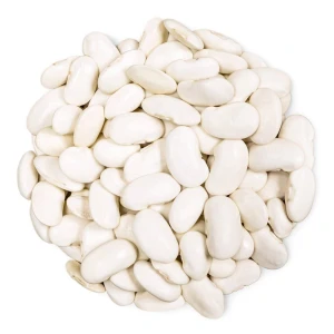 Premium Quality White Kidney Beans Fresh Natural White Kidney Beans Bulk Wholesale For Sale