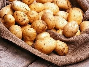 wholesale import of potatoes from Iran