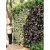 Import Artificial Plant Wall from China