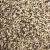 Import Now Available Organic Bulk-Dried Black-Eyed Cow Peas White Grains 3x3mm Sweet for Wholesale from South Africa