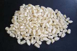 Cheap Non GMO White and Yellow Corn/Maize for sale