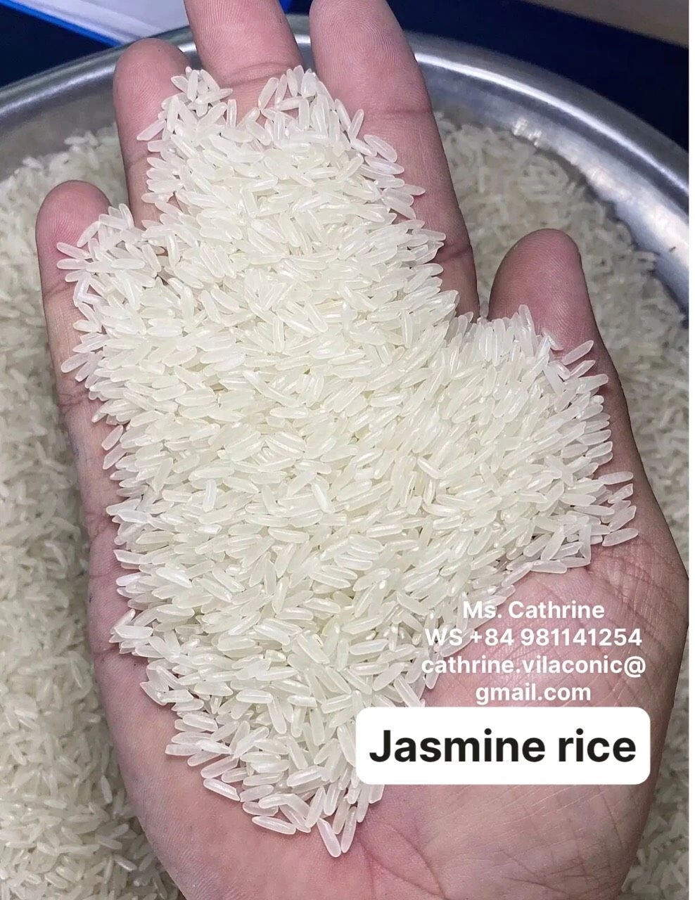 Pp Ranch Rice Buy 5kg 10kg 25kg Pp Bag Bopp Woven Bag Jasmine Rice from Rice and Dry ...