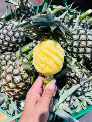 FRESH BABY PINEAPPLE FROM THAILAND