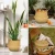 Import Handwoven Vintage Fashion Seagrass Belly Basket Portable Zip Closure Cotton Lining Two Straps Beautifully Flowers Lette from Vietnam