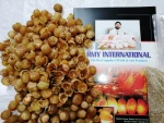 RMY Top Quality Soap Nuts Shells 8