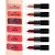 Import OEM/ODM Make Your Own Brand Easy Waterproof Matte  LipsticLip Glossk Multi-Colored  Long-lasting from Hong Kong