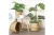 Import Handwoven Vintage Fashion Seagrass Belly Basket Portable Zip Closure Cotton Lining Two Straps Beautifully Flowers Lette from Vietnam