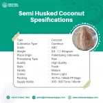 Semi Husked Coconut