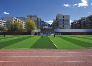 Artificial Grass for Football, MT-Ubest-Plus