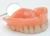 Import Smooth Surface Rubber OEM Denture Dental Lab Digital Dental Models from China