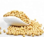 SOYABEAN
