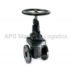 Quality Gate Valve with IBR and BIS Approved