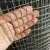 10 14 gauge 10x10 pvc coated galvanized welded iron wire mesh roll for bird / chicken / rabbit cages philippine manufacture