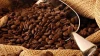 100% Best Quality Arabica / Robusta Coffee Beans (Good Price) For Sale