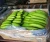 Import 100% High Quality Fresh Cavendish Banana affordable price from South Africa