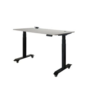 120VAC or 220VAC Office Standing Electric Adjustable Desk