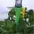Import 12pcs Drip Irrigation System Automatic Watering Spike for Plants garden watering system irrigation system greenhouse from China