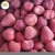 Import 15 25mm Size Food Grade IQF Fresh Frozen Red Strawberry Berries Am 13 Seller from China