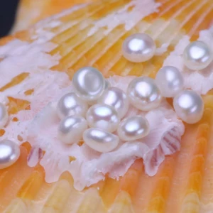 2-3mm 3A Grade freshwater button cultured loose pearls without hole