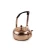 Import 2017 fashion design high class copper tea kettle from China