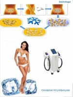 2018 Popular New Technology Coolplas Vacuum Cooling Beauty Machine Ice Freezing Fat Reduction Body Shaping Machine