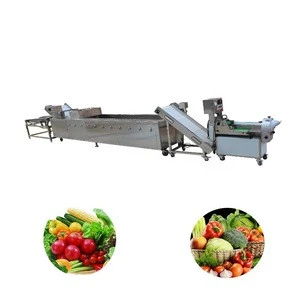 2019 low price fruit and vegetable washing and drying machine equipment