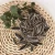 Import 2020 New Crop High Quality Cheap Chinese Import Sunflower Seeds from China