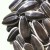 Import 2020 NEW CROP YELLOW RIVER SUNFLOWER SEEDS 5009 from China