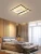 Import 2021 new living room European modern iron led ceiling lamp from China