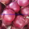 2021new Fresh Red Onion China Origin, New Red Onion 5-8cm Onion Bulb Good Quality, Mesh Bag Packing, Good Onion, Fresh Oinon