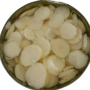 227g New Crop Canned Water Chestnut Slices