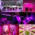 Import 29cm 110V 220V Full Spectrum Led Grow Light T5 Tube LED Phyto Lamps Grow LED Lamp Bar Light Hydroponic Plant Growth Light from China