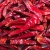 Import 3-6cm very pungent hot sanying red chilli with 72000 SHU from China