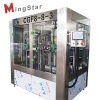 3000BPH Factory  Filling Machine For Bottled Mineral Water Plant Cost