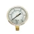 Import 304SS Case Back,Bottom Connection 1.5&quot; 2&quot; 2.5&quot; 3&quot; 4&quot; Industrial Fuel Pressure Gauge from China
