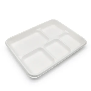 5 Compartment 10.4 Inch Biodegradable & Compostable Bagasse hospital disposable food containers fast meal packaging tray