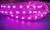 Import 5050 60LED UV 395nm pink color LED Strip Lights 110v 220v from China