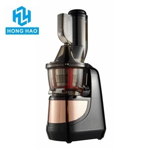 55RPM DC motor household use vertical Wide mouth  citrus and vegetable masticationg slow juicer
