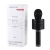 Import 858 Wireless Portable Handheld KARAOKE Microphone from China