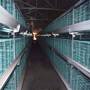 A-Type and H-Type poulrtry farming equipment for broiler chicks rate in animal cages