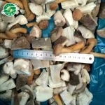 Advanced Equipment Hot Selling Chinese Frozen Mixed Mushrooms