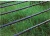 Import Agricultural & Greenhouse Hydroponic Drip Irrigation System Products from China