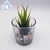Import Air Plant Terrarium Clear Glass Planter Tabletop Display Vase Pot Indoor Decor for Succulent, Cactus from China