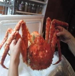 Alaskan RED King Crab